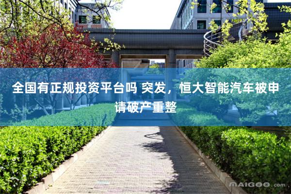 全国有正规投资平台吗 突发，恒大智能汽车被申请破产重整