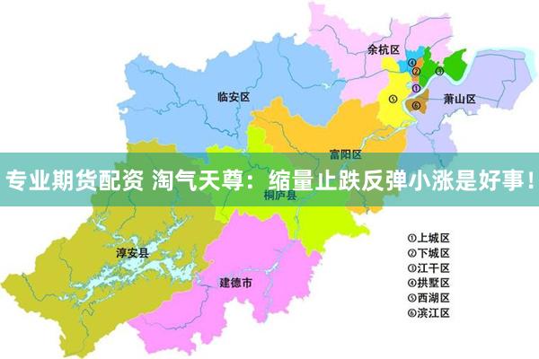 专业期货配资 淘气天尊：缩量止跌反弹小涨是好事！