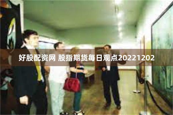 好股配资网 股指期货每日观点20221202