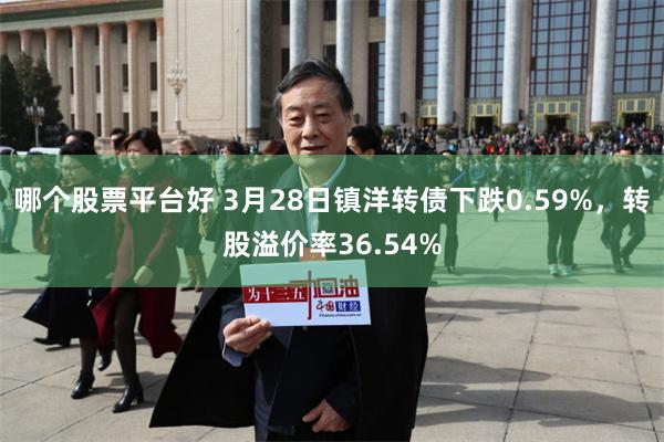 哪个股票平台好 3月28日镇洋转债下跌0.59%，转股溢价率36.54%