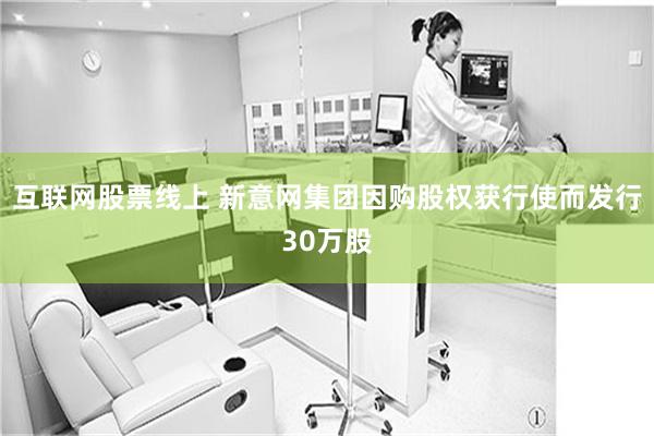 互联网股票线上 新意网集团因购股权获行使而发行30万股