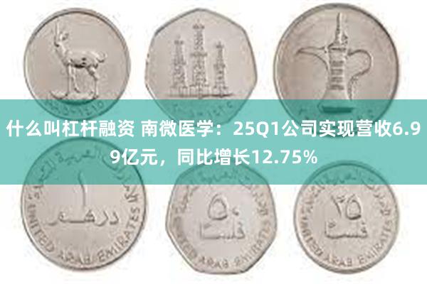什么叫杠杆融资 南微医学：25Q1公司实现营收6.99亿元，同比增长12.75%
