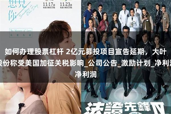如何办理股票杠杆 2亿元募投项目宣告延期，大叶股份称受美国加征关税影响_公司公告_激励计划_净利润