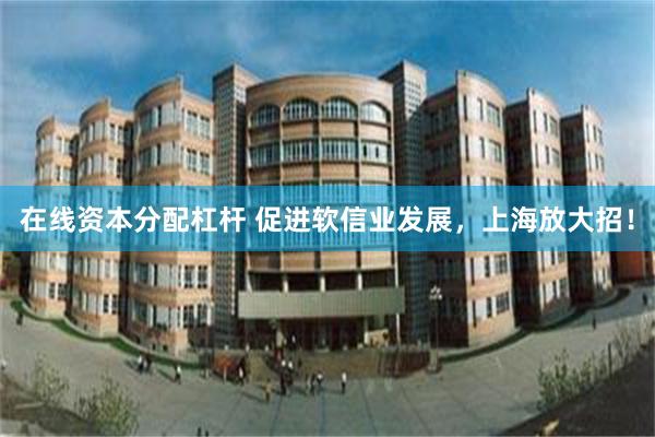 在线资本分配杠杆 促进软信业发展，上海放大招！